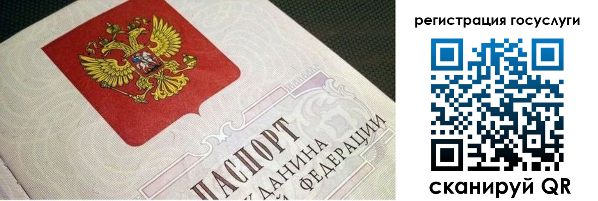 прописка гарантия в Сургуте
